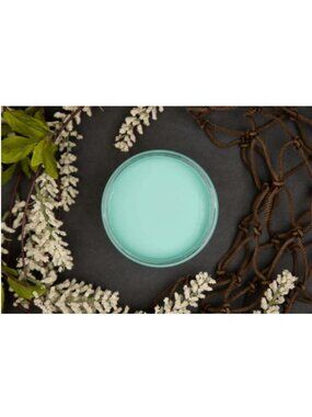 New Sealed The Gulf Dixie Belle Chalk Mineral Paint 8oz